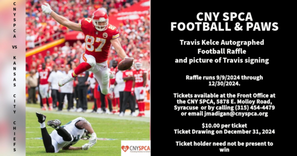 CNY SPCA Football & Paws Raffle